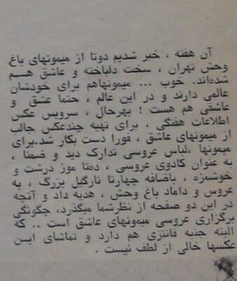 ازدواج ۲ میمون در باغ وحش تهران