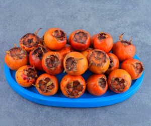 ازگیل