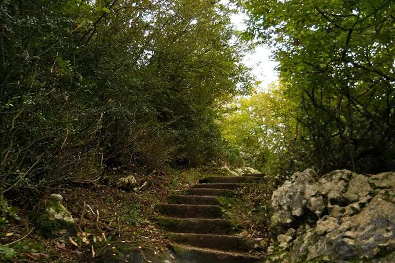 قلعه مارکوه