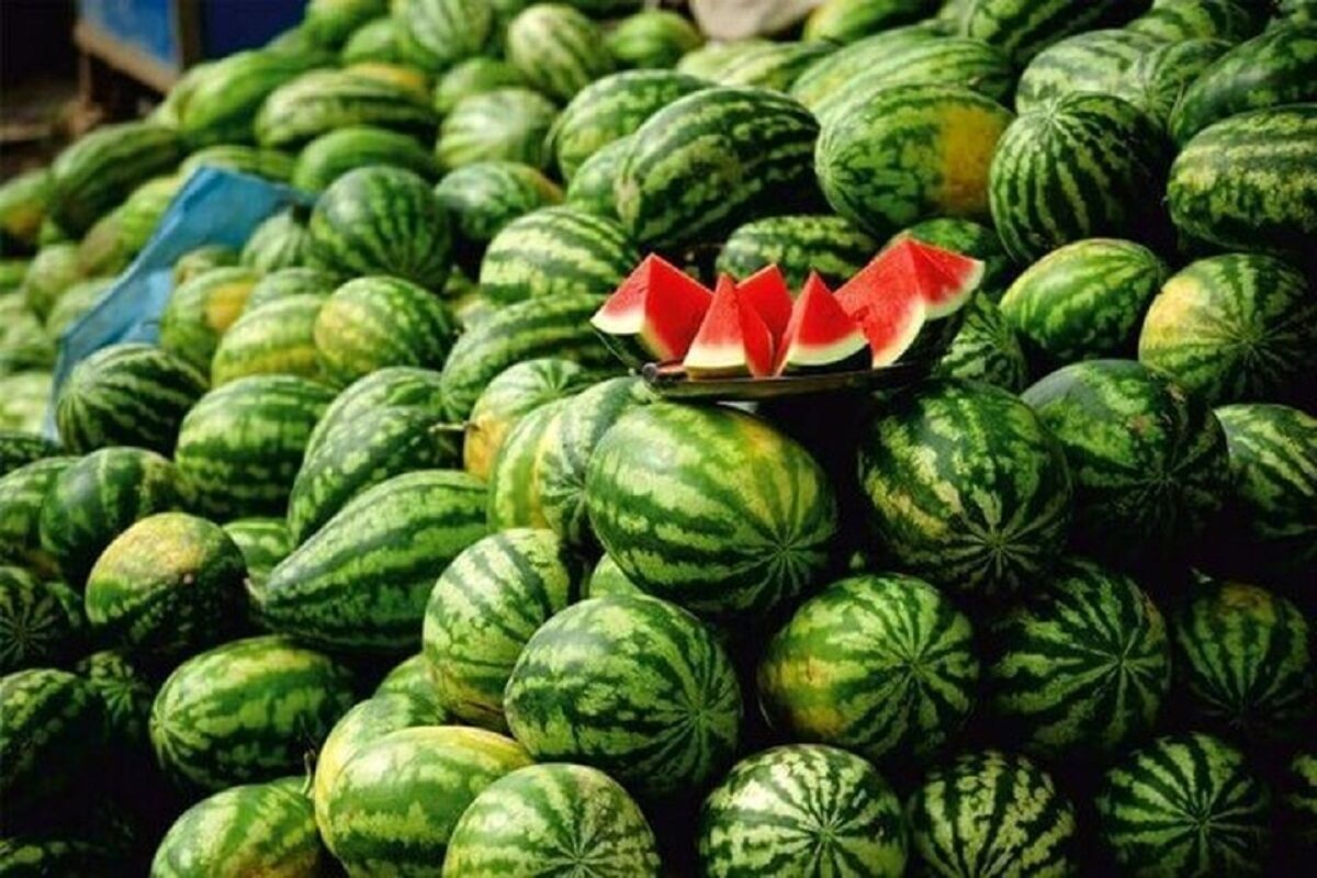 ۱۲ مورد از مزایای خوردن هندوانه در دوران بارداری | تقویت ایمنی بدن با هندوانه