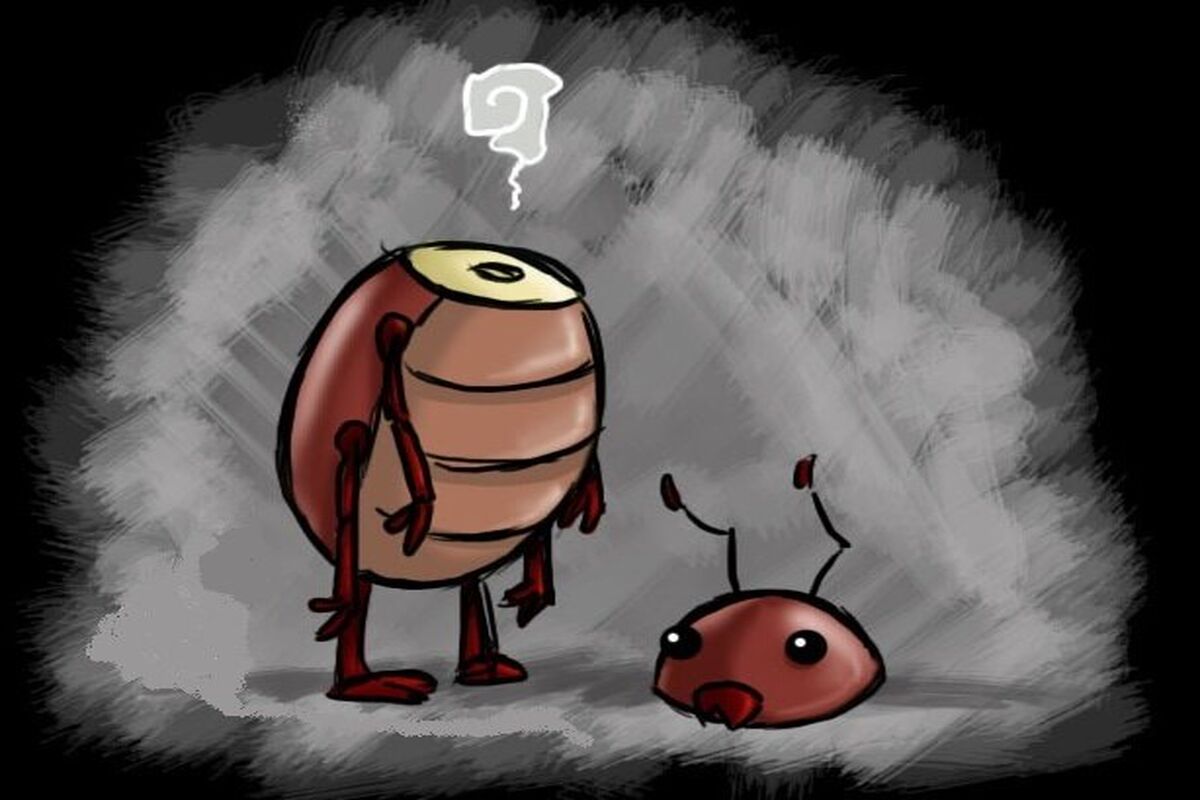 سوسک های خونه رو با مواد طبیعی از بین ببر | سه سوته شر سوسک ها با این روش خانگی خلاص شو