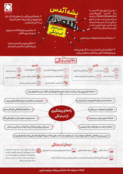 پیشگیری از تب دنگی