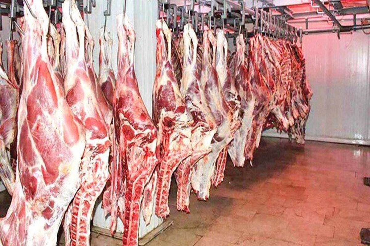 قیمت گوشت شنبه ۲۲ دی ۱۴۰۳ | مرغ کشتار امروز کیلویی چند؟