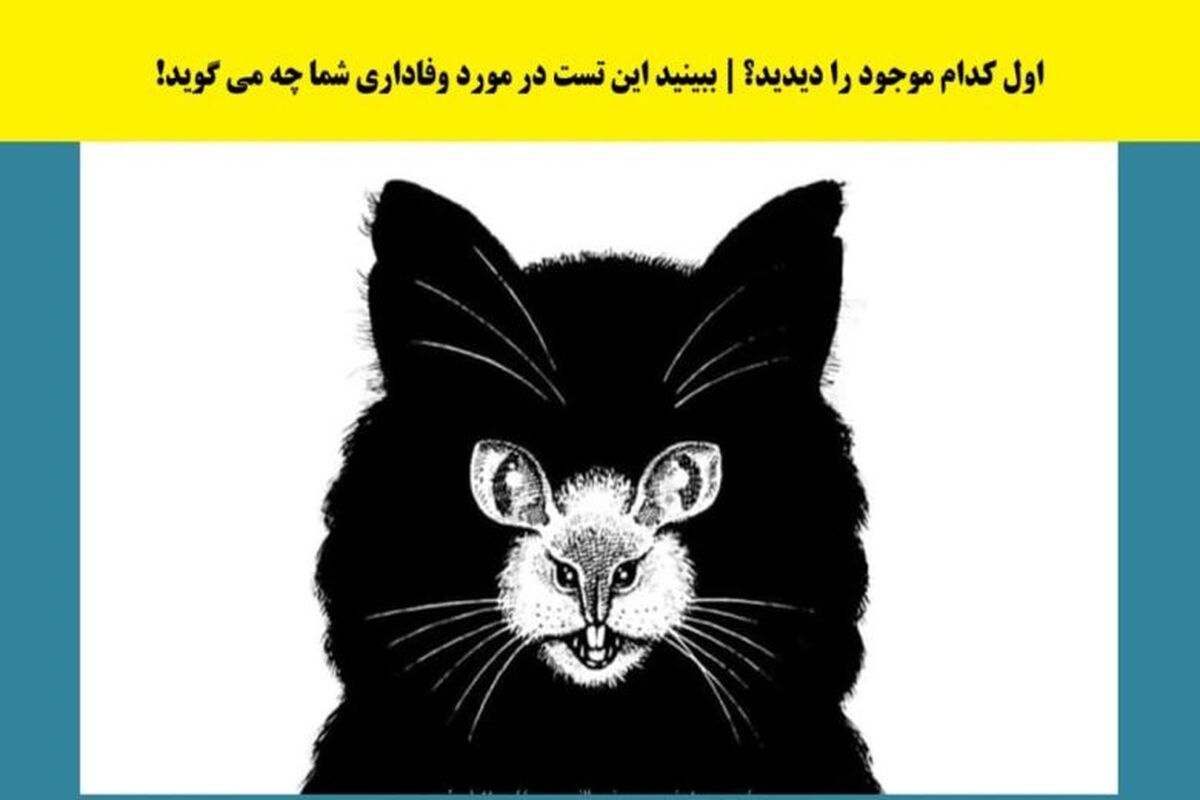 تست شخصیت | بگو چی دیدی تا بگم آدم وفاداری هستی یا نه؟