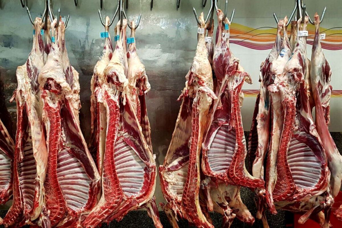 قیمت جدید انواع گوشت | گوشت قرمز و مرغ کیلویی چند؟