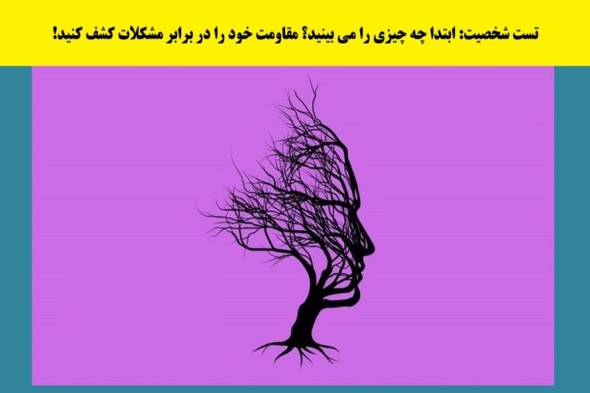 تست شخصیت شناسی | بگو چه دیدی تا بگم مقاومت در برابر مشکلات چقدر است؟
