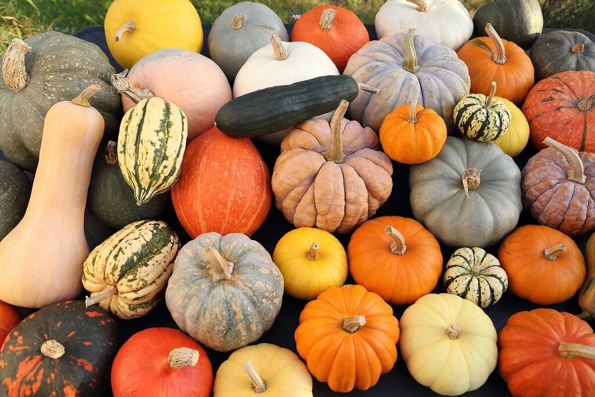 میوه ضدسرماخوردگی و آنفولانزا