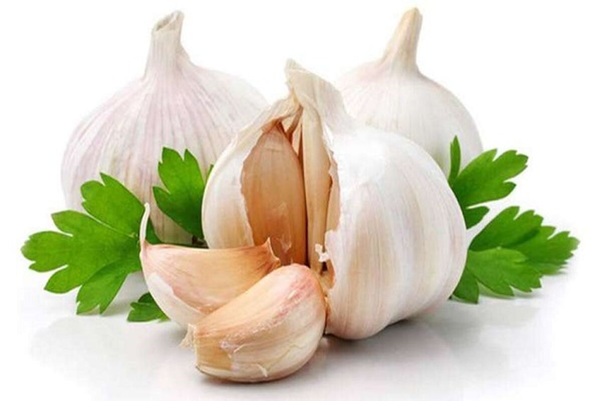 معجزه باورنکردنی خوردن روزانه یک حبه سیر با معده خالی