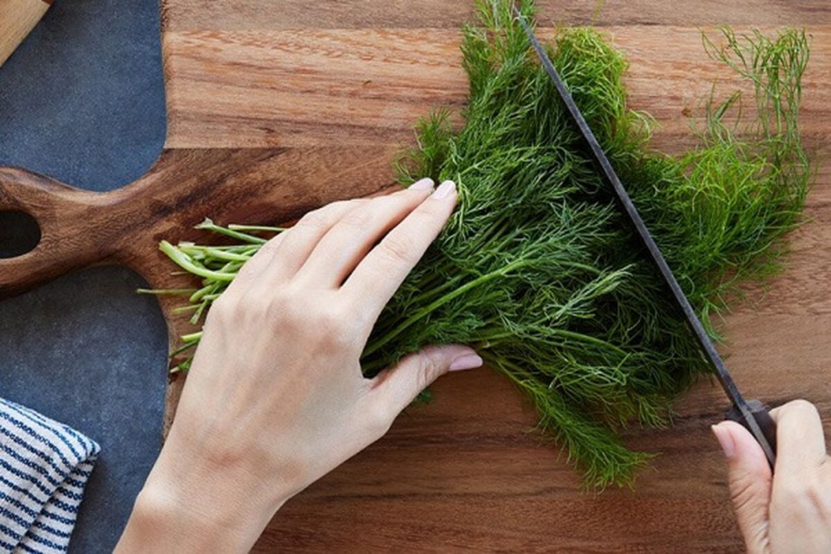 این سبزی پادشاه تولید انسولین برای کنترل قند خون است