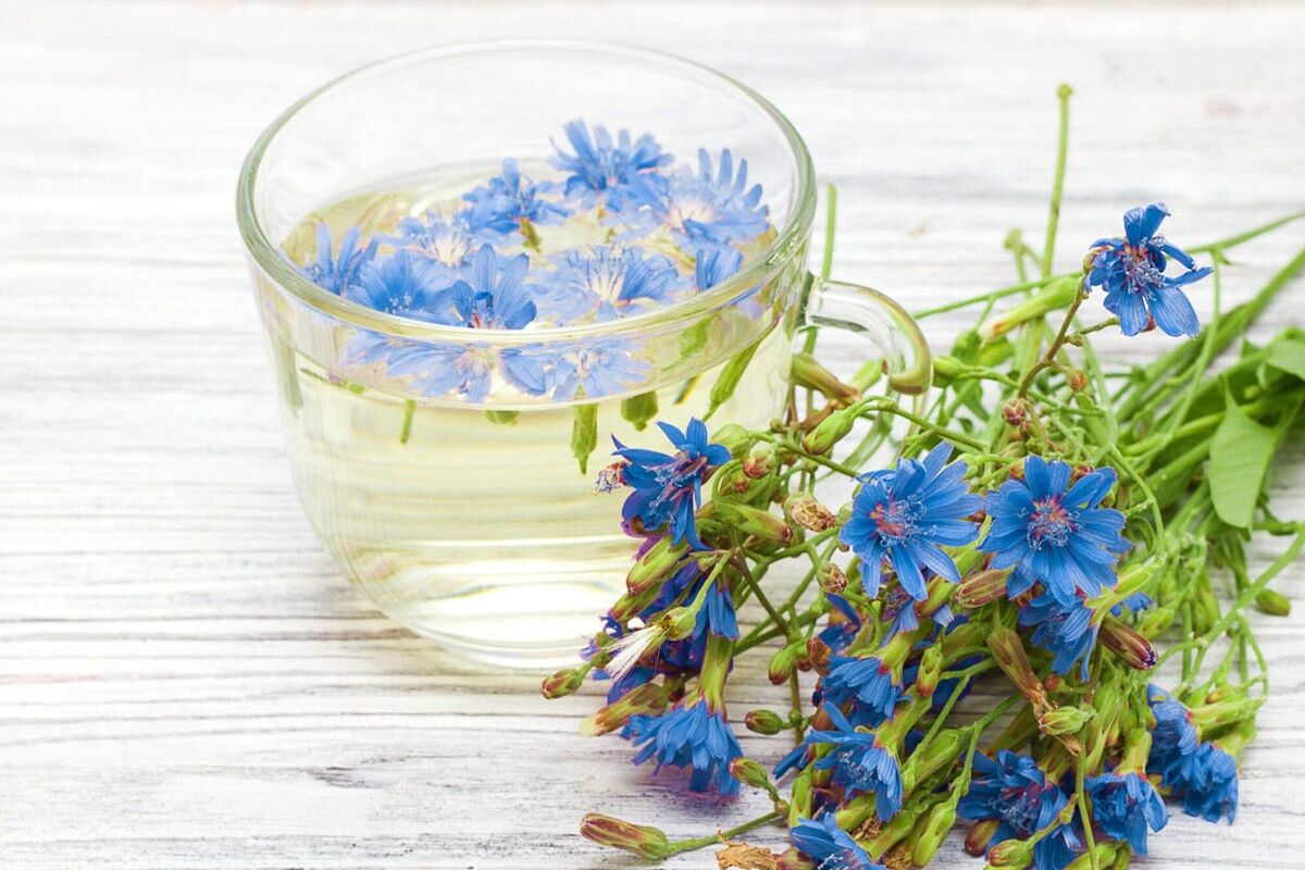 این گیاه همزمان فشار خون ، قند خون، کبد و ضعف بینایی را درمان می کند