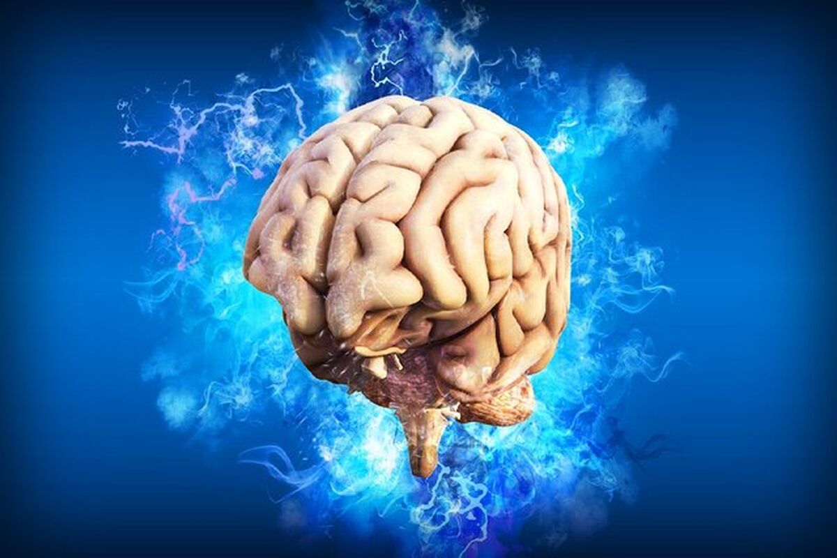 اگر این نکات را رعایت کنید، زوال عقل به سراغتان نمی‌آید