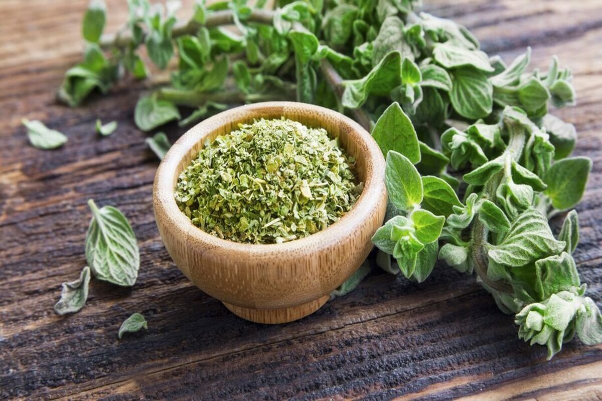 دم کرده این دو سبزی در ناشتای صبح شما را از سرماخوردگی شهریور و پاییز نجات می دهد