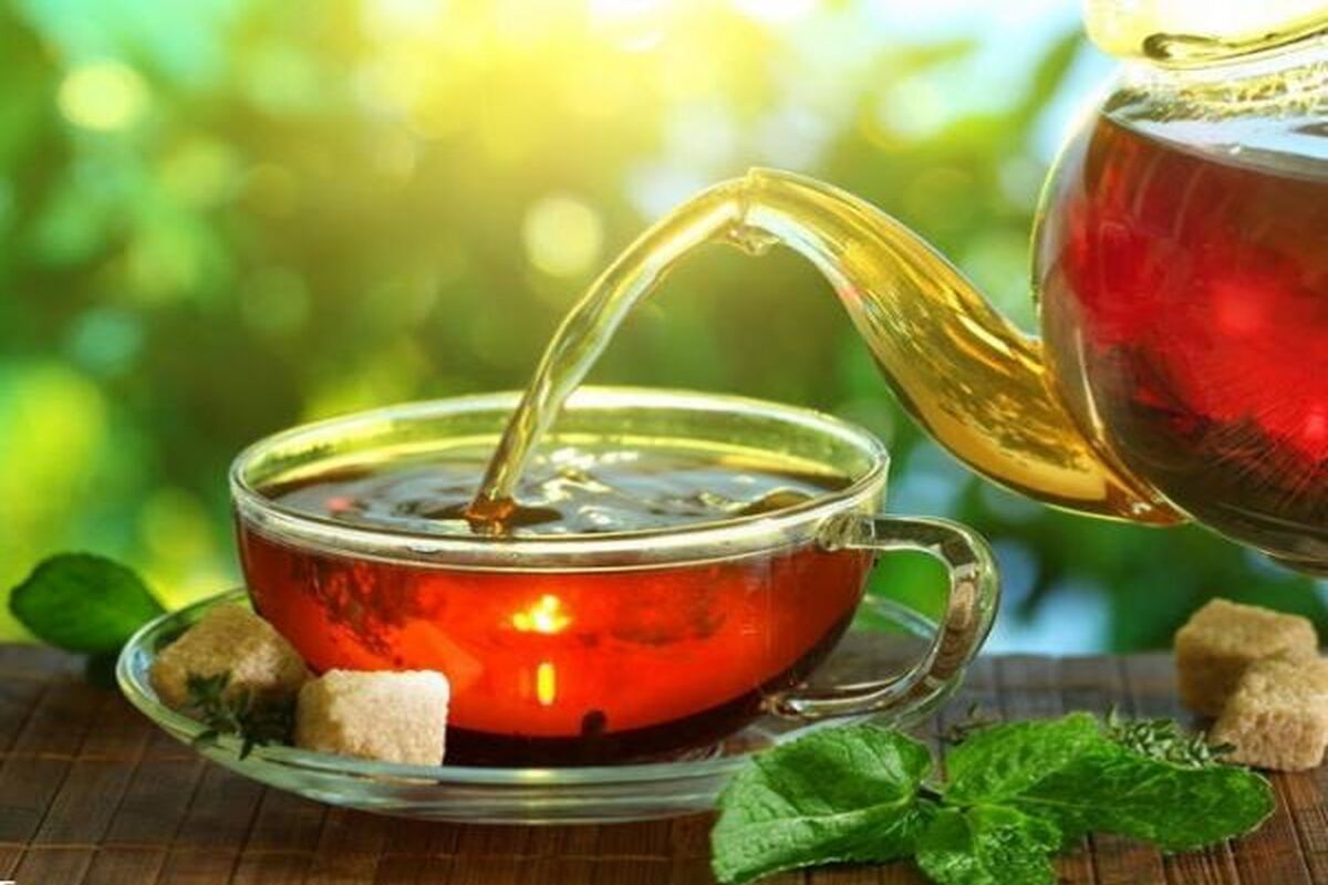 فواید بیشمار چای سیاه برای موها | این راه تضمین شده را برای تقویت موها از دست ندهید