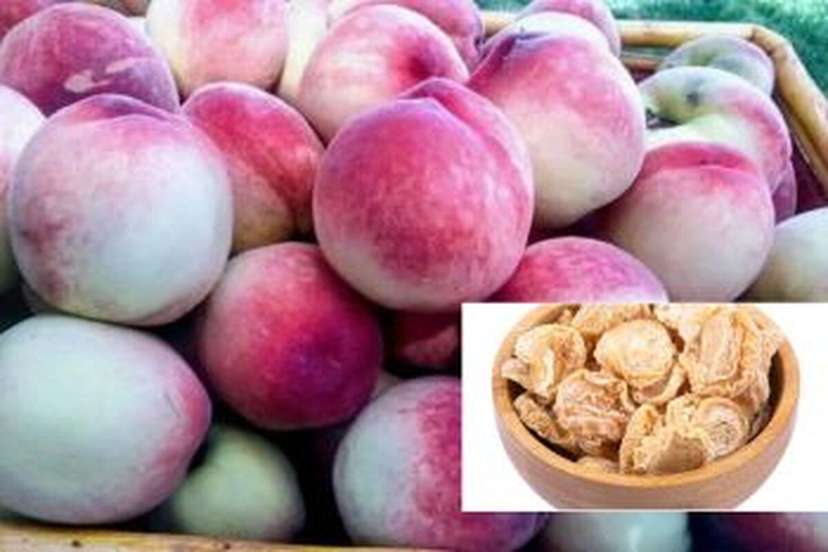 خواص باورنکردنی برگه شفتالو برای بدن | از درمان یبوست تا سلامت قلب و پوست