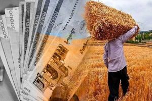 اظهارات پورمحمدی درباره تسویه مطالبات گندمکاران؛ قیمت خرید تضمینی گندم سال آینده چه زمانی اعلام می‌شود؟