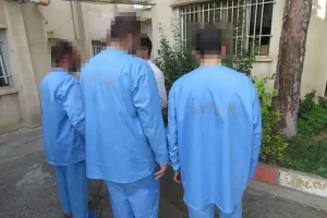 اعضای باند سرقت منزل با پلاک‌های مسروقه و ماسک دستگیر شدند