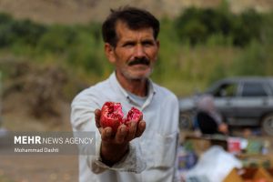 توسعه صنایع تبدیلی راهبرد عبور از خام‌فروشی انار