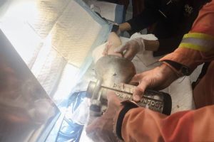 دست زن ۴۸ ساله در چرخ‌گوشت صنعتی در خیابان فلسطین گیر کرد