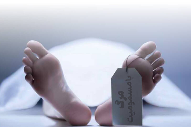 سال گذشته ۸۳۰ نفر بر اثر مسمومیت با مونوکسیدکربن جان باختند