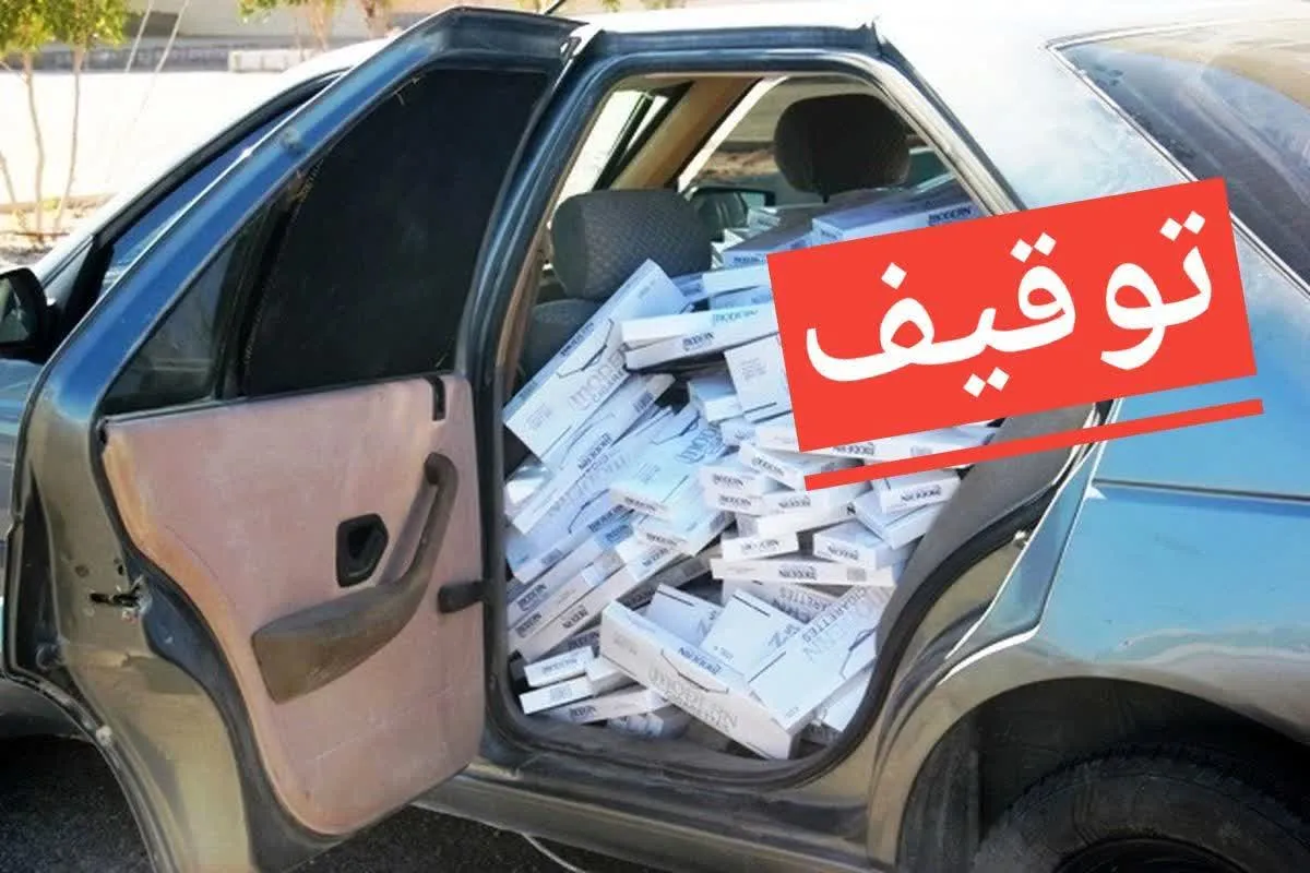 ضبط ۸ هزار و ۸۰۰ پاکت سیگار قاچاق در تاکستان