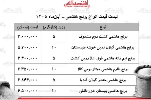 قیمت برنج هاشمی؛ هر ۱۰ کیلوگرم تا ۶ میلیون و ۵۰۰ هزار تومان