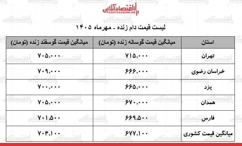 قیمت دام زنده امروز ۲۸ مهر ۱۴۰۵ میانگین گوسفند ۷۰۴ و گوساله ۶۷۷ هزار تومان