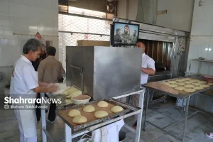 نانوایی‌های آزادپز مجاز به افزایش قیمت نیستند