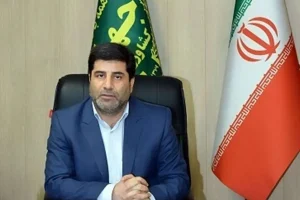 نرخ خرید تضمینی گندم شناور شد/ اختلاف نظر بین اعضای شورای قیمت‌گذاری