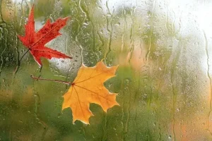 هشدار نارنجی برای بارش در شمال هرمزگان و جنوب سیستان‌وبلوچستان
