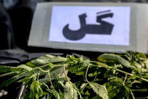 هشدار پلیس درباره وجود متامفتامین در برخی قرص‌های لاغری