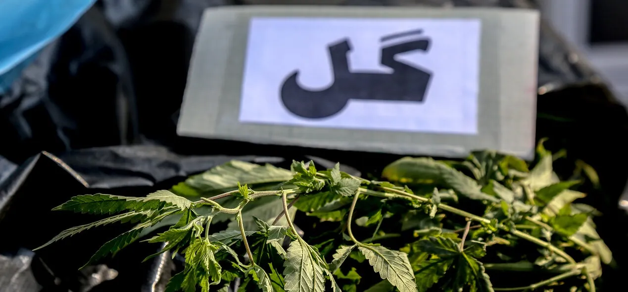 هشدار پلیس درباره وجود متامفتامین در برخی قرص های لاغری