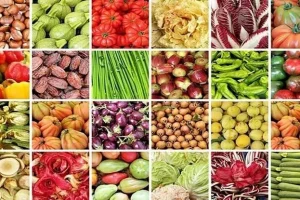 کمتر از یک درصد محصولات کشاورزی کشور به‌صورت ارگانیک تولید می‌شود